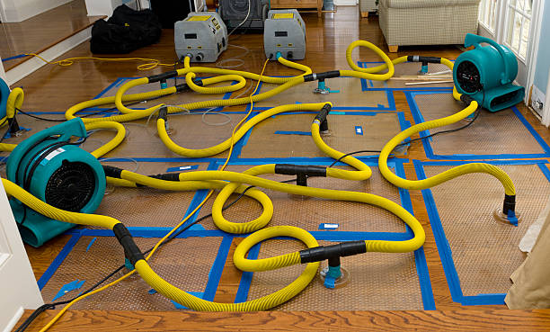 Professional Water Extraction technician working in Akron, NY